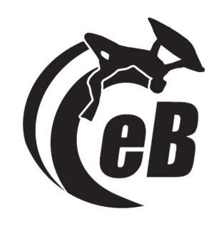 ebodyboarding logo